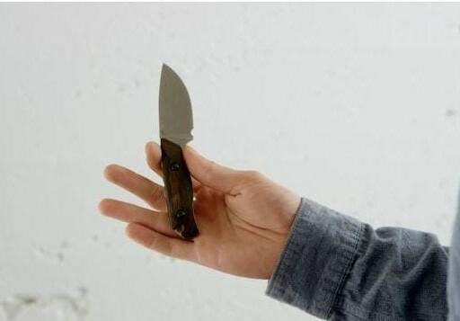  Benchmade Hidden Canyon Hunter Wood Fixed Blade Knife 15017