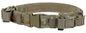  Condor Scorpion OCP Tactical Belt TB-800