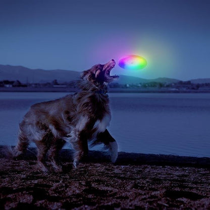  Nite Ize Flashflight Dog Discuit LED Flying Disc - Disc-O