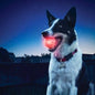  Nite Ize GlowStreak LED Ball Red
