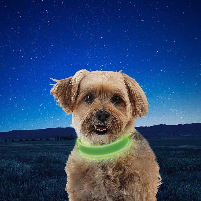  Nite Ize NiteDog Rechargeable LED Collar