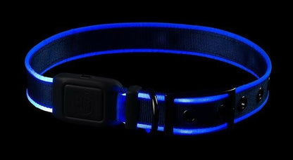  Nite Ize NiteDog Rechargeable LED Collar