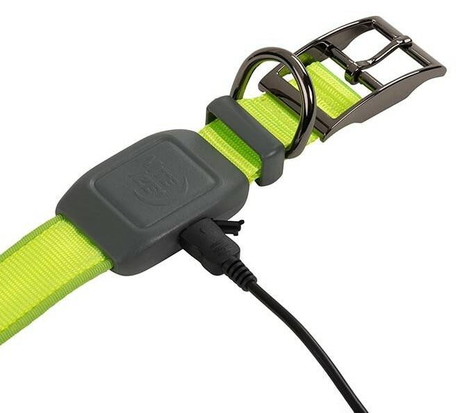  Nite Ize NiteDog Rechargeable LED Collar