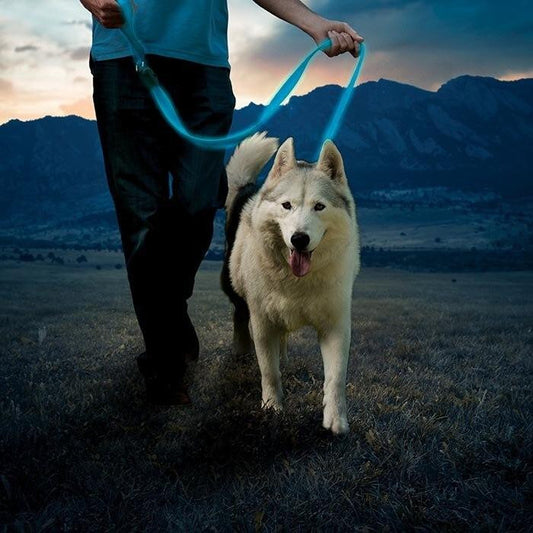  Nite Ize NiteDog Rechargeable LED Leash