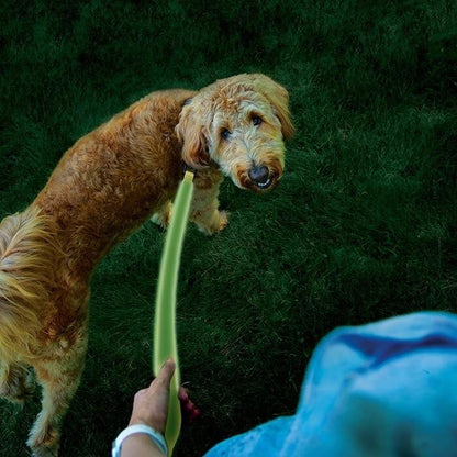  Nite Ize NiteDog Rechargeable LED Leash