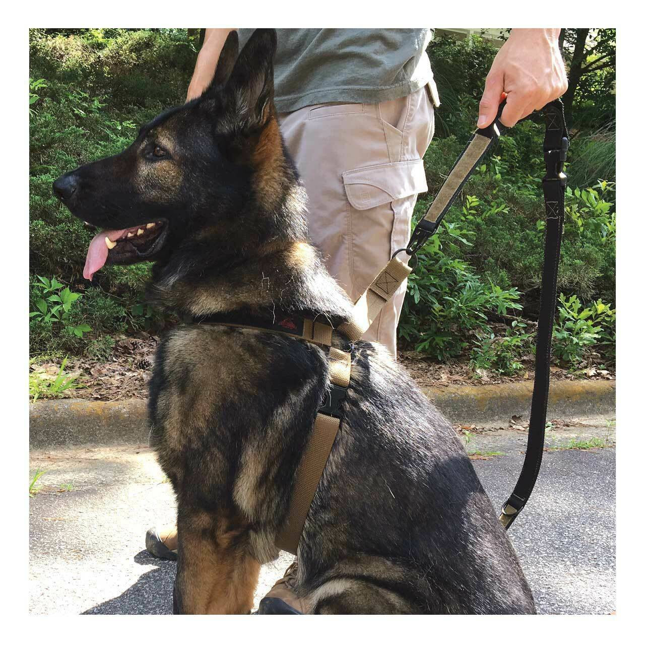  Red Rock Outdoor Gear Dog Harness