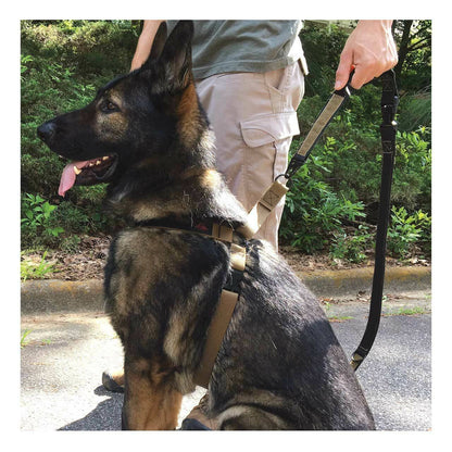  Red Rock Outdoor Gear Dog Harness