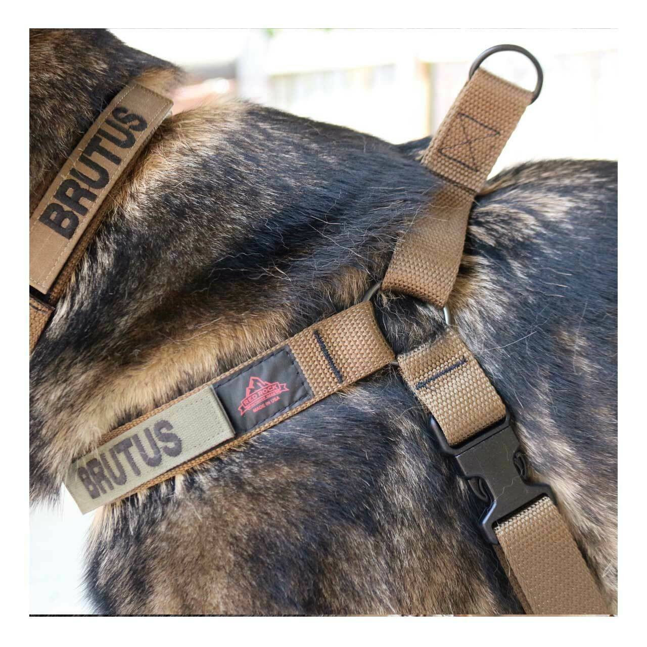  Red Rock Outdoor Gear Dog Harness