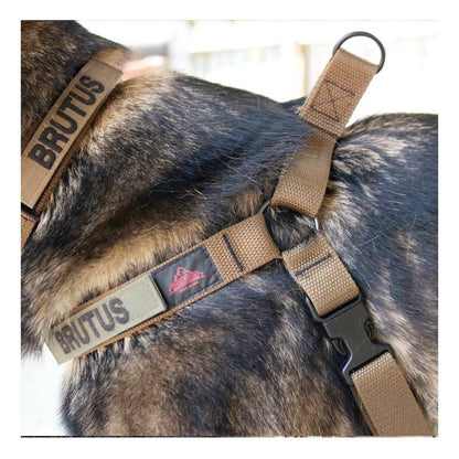  Red Rock Outdoor Gear Dog Harness