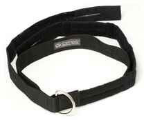  RIPP Restraints 2" D Ring Transport Belt