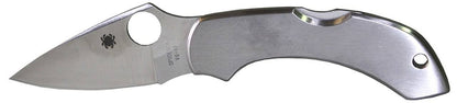  Spyderco Dragonfly Stainless SteelFolding Knife