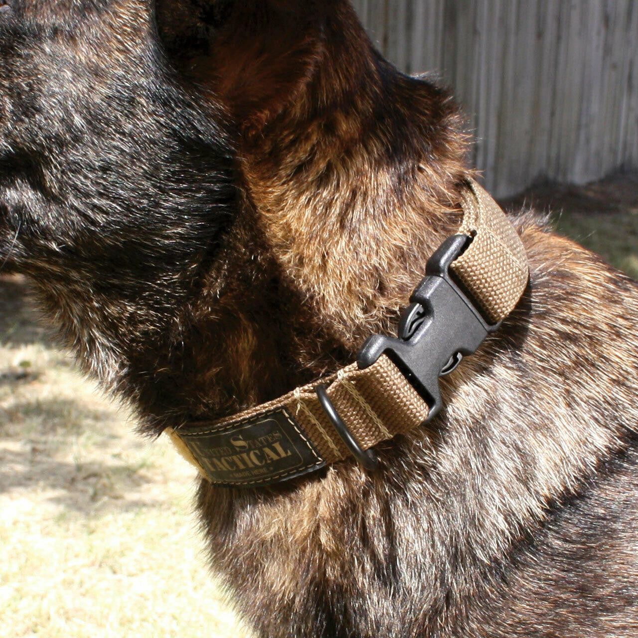  United States Tactical Cobra Buckle K9 Collar