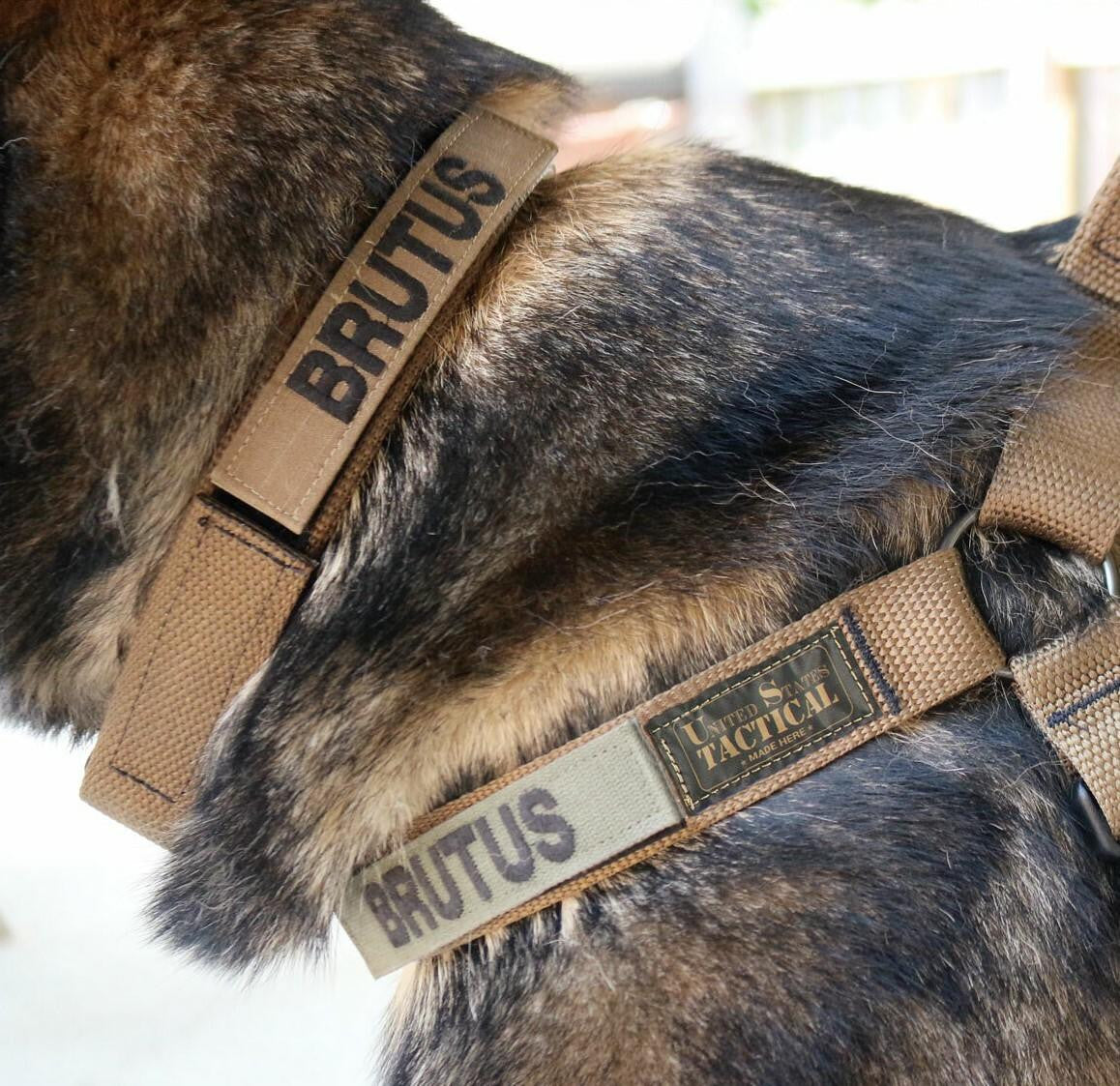  United States Tactical Cobra Buckle K9 Collar