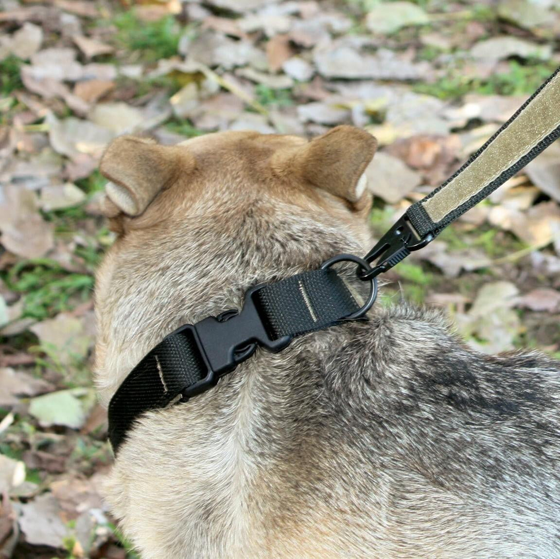  United States Tactical Cobra Buckle K9 Collar