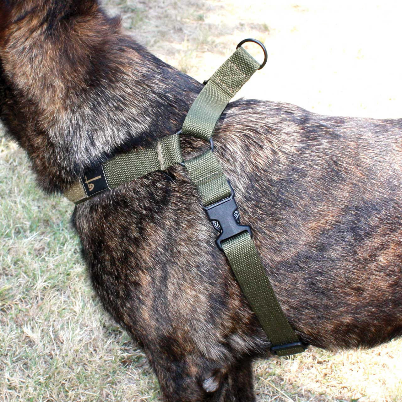  United States Tactical K9 Harness