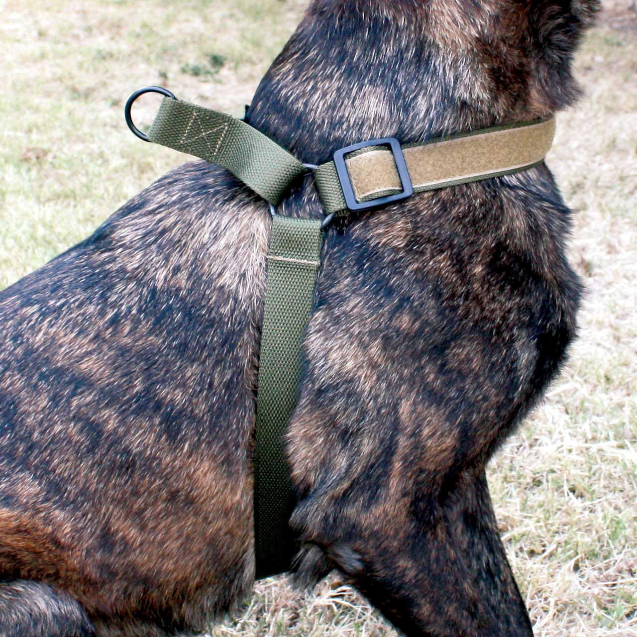  United States Tactical K9 Harness