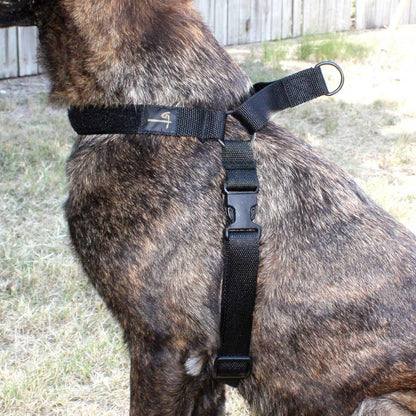  United States Tactical K9 Harness