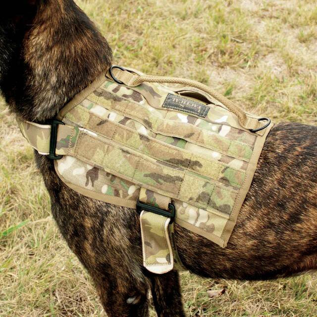  United States Tactical K9 Molle Vest