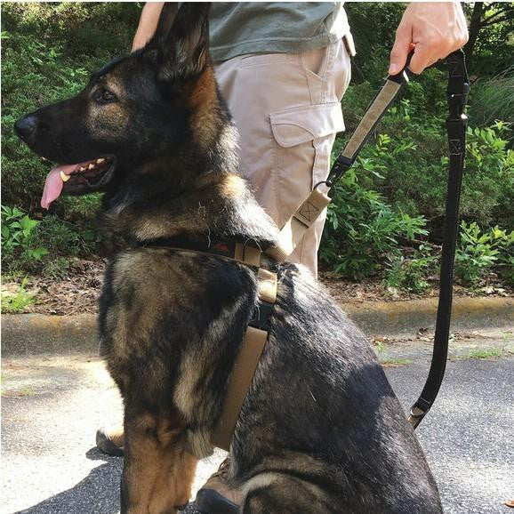 United States Tactical Quick Release And HK Hook K9 Leash
