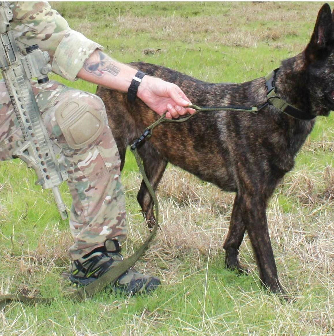  United States Tactical Quick Release And HK Hook K9 Leash