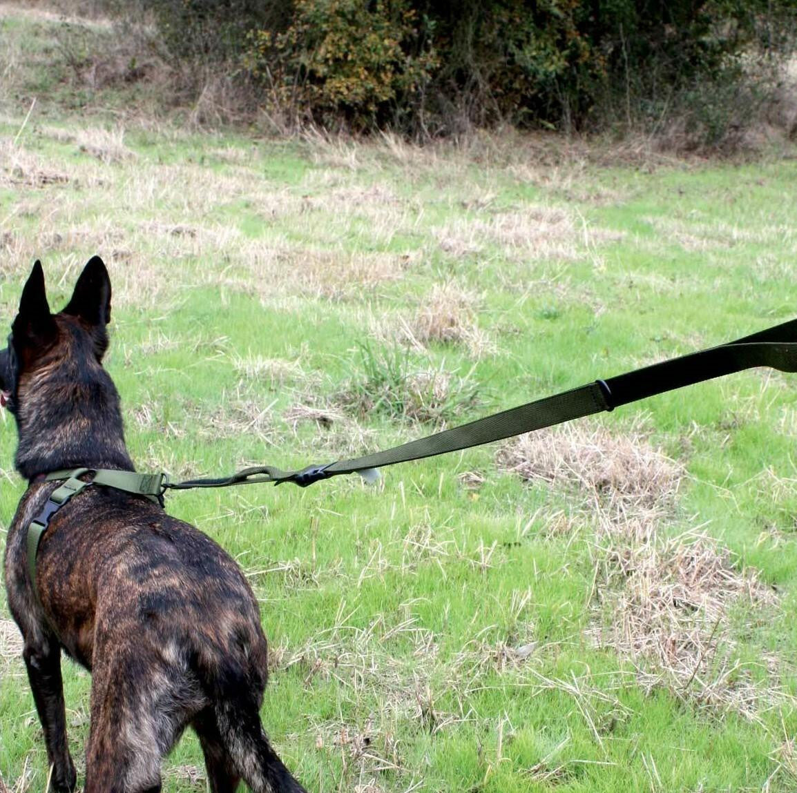  United States Tactical Quick Release And HK Hook K9 Leash