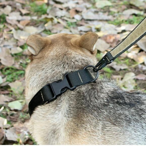  United States Tactical Quick Release Buckle K9 Collar