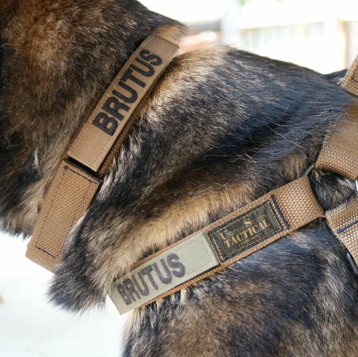  United States Tactical Quick Release Buckle K9 Collar
